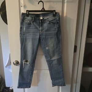 LOFT Blue Straight Leg Jeans with Classic Indigo Wash